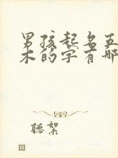 男孩起名五行属木的字有哪些