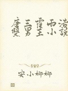 唐三霍雨浩cp双男主小说