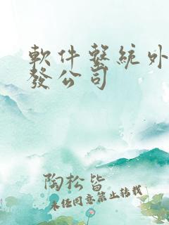 软件系统外包开发公司