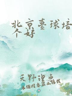 北京台球培训哪个好