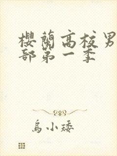 樱兰高校男公关部第一季