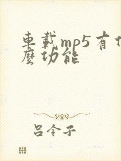 车载mp5有什么功能