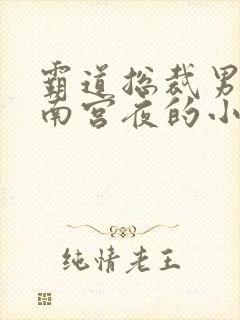 霸道总裁男主是南宫夜的小说