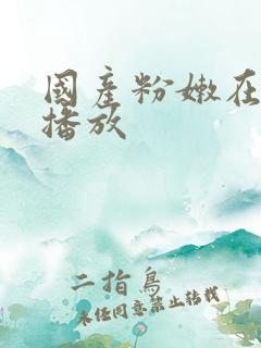 国产粉嫩在在线播放