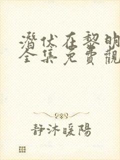 潜伏在黎明之前全集免费观看