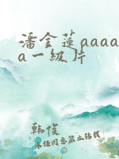 潘金莲aaaaa一级片