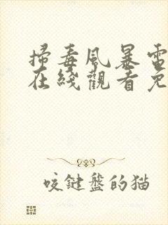 扫毒风暴电视剧在线观看免费高清