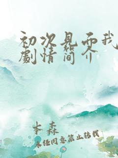 初次见面我爱你剧情简介