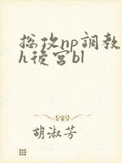总攻np调教高h后宫bl