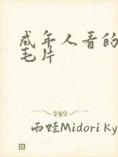 成年人看的免费毛片