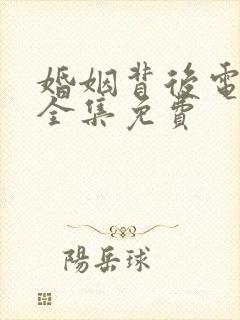 婚姻背后电视剧全集免费