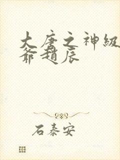 大唐之神级太子爷赵辰