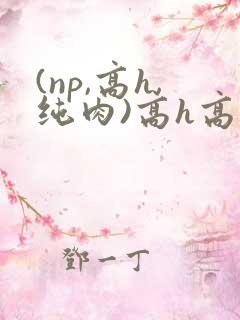 (np,高h,纯肉)高h高辣男男