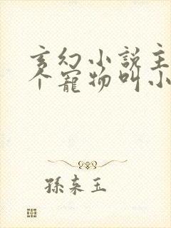 玄幻小说主角有个宠物叫小黑