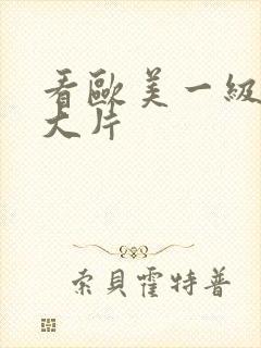 看欧美一级特黄大片