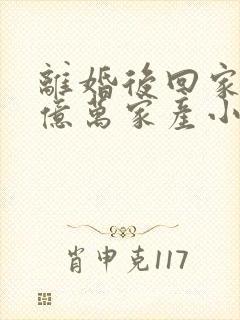 离婚后回家继承亿万家产小说