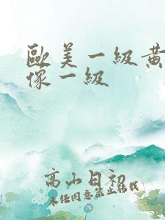 欧美一级黄色录像一级