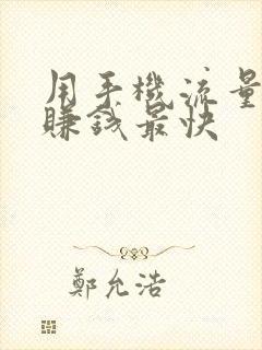 用手机流量怎么赚钱最快