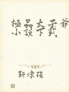 极品太子爷李辰小说下载