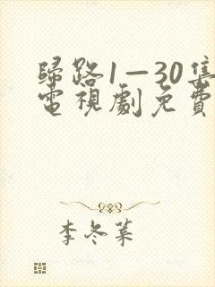 归路1—30集电视剧免费观看下载