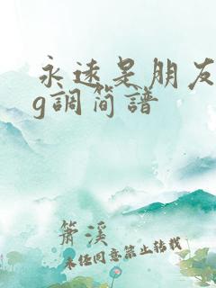 永远是朋友二胡g调简谱