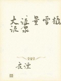 大流量雪橇式轴流泵