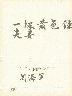 一级黄色录像片夫妻