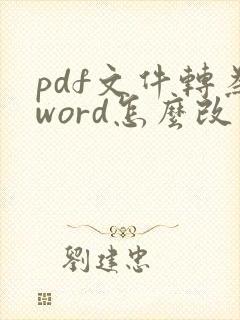 pdf文件转为word怎么改文字