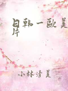 日韩一欧美一级片