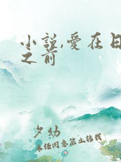 小说,爱在日落之前