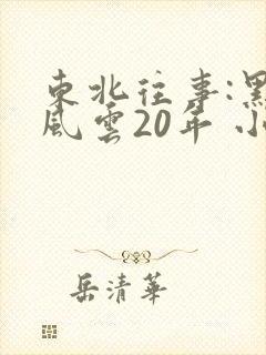 东北往事:黑道风云20年 小说