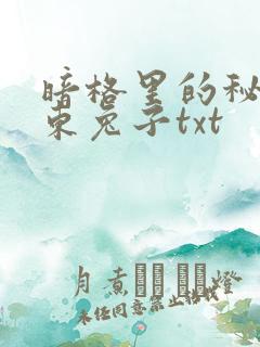 暗格里的秘密耳东兔子txt