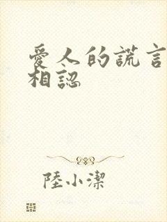 爱人的谎言小夏相认