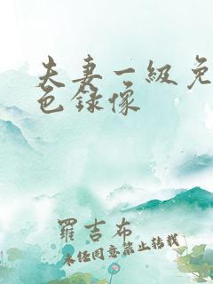 夫妻一级免费黄色录像