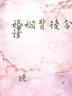 婚姻背后分集剧情