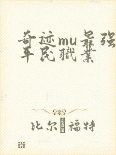 奇迹mu最强者平民职业