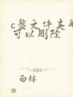 c盘文件夹哪些可以删除