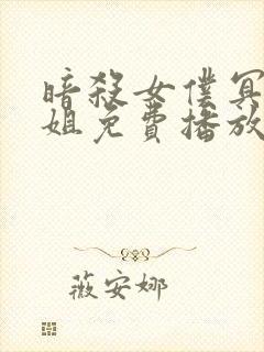 暗杀女仆冥士小姐免费播放