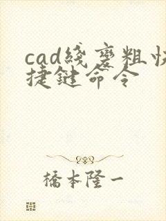 cad线变粗快捷键命令