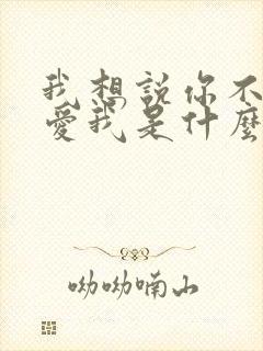 我想说你不是不爱我是什么歌