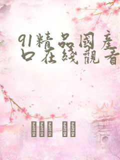 91精品国产入口在线观看