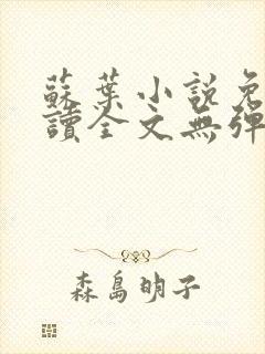 苏叶小说免费阅读全文无弹窗