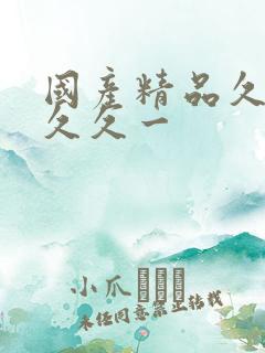 国产精品久久久久久一