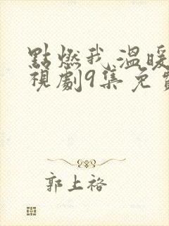 点燃我温暖你电视剧9集免费观看