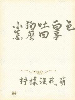 小狗吐白色沫子怎么回事