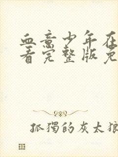 血意少年在线观看完整版免费观看