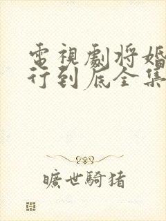 电视剧将婚姻进行到底全集在线观看