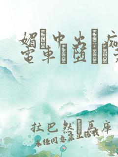 媚薬中出し痴●电车に堕ちた莞