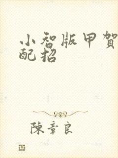 小智版甲贺忍蛙配招