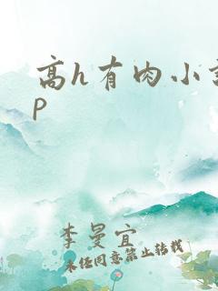 高h有肉小说np